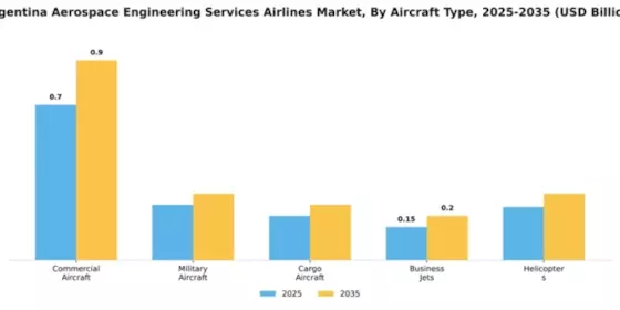 Argentina Aerospace Engineering Services Airlines Market Segment Image 0