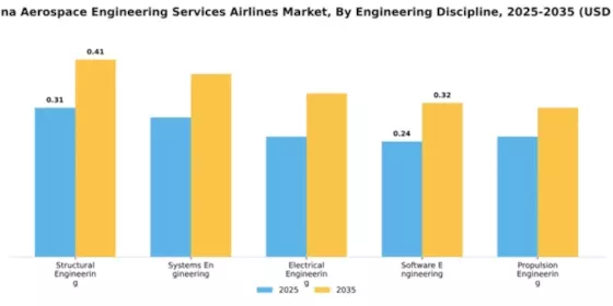 Argentina Aerospace Engineering Services Airlines Market Segment Image 2