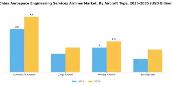 China Aerospace Engineering Services Airlines Market Segment Image 0