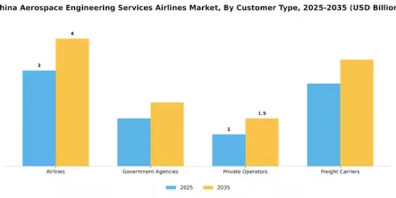 China Aerospace Engineering Services Airlines Market Segment Image 1
