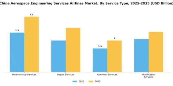 China Aerospace Engineering Services Airlines Market Segment Image 3
