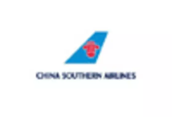 China Aerospace Engineering Services Airlines Market key player