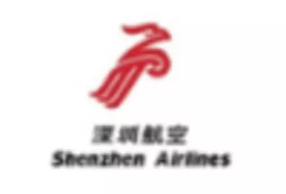 China Aerospace Engineering Services Airlines Market key player