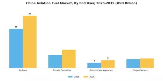 China Aviation Fuel Market Segment Image 2