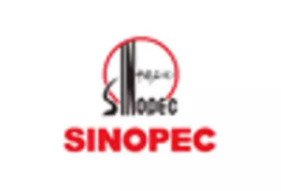 China Aviation Fuel Market key player