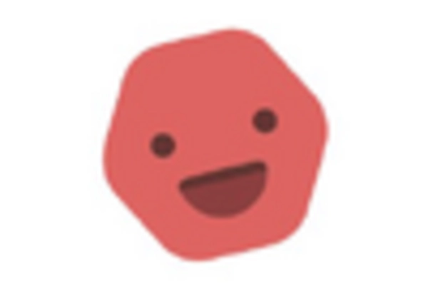 Brazil User Experience Research Software Market key player