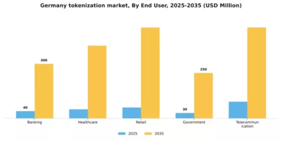 Germany Tokenization Market Segment Image 2