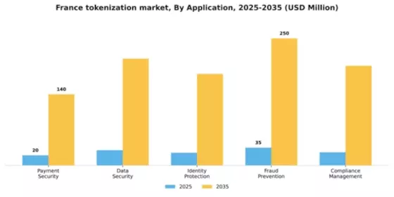 France Tokenization Market Segment Image 0