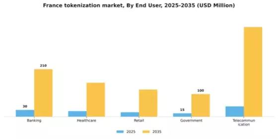 France Tokenization Market Segment Image 2