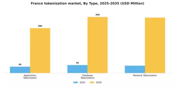 France Tokenization Market Segment Image 3