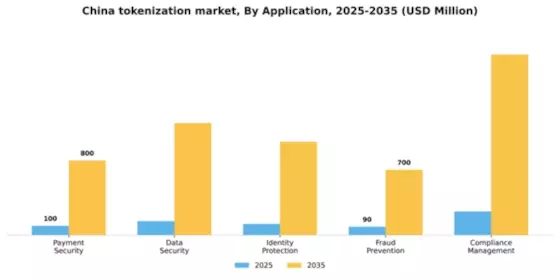 China Tokenization Market Segment Image 0