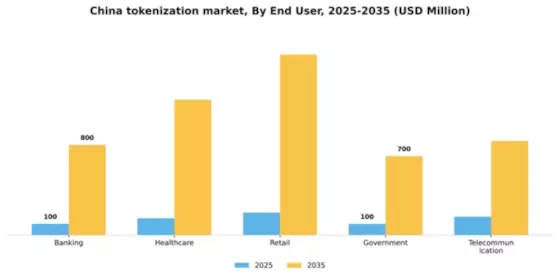 China Tokenization Market Segment Image 2