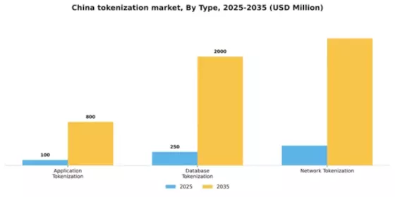 China Tokenization Market Segment Image 3