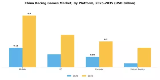 China Racing Games Market Segment Image 3