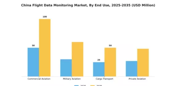 China Flight Data Monitoring Market Segment Image 2