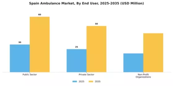 Spain Ambulance Market Segment Image 2