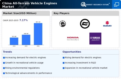 China All Terrain Vehicle Engines Market Infographic