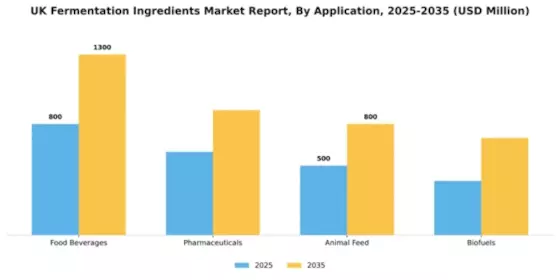 UK Fermentation Ingredients Market Segment Image 0