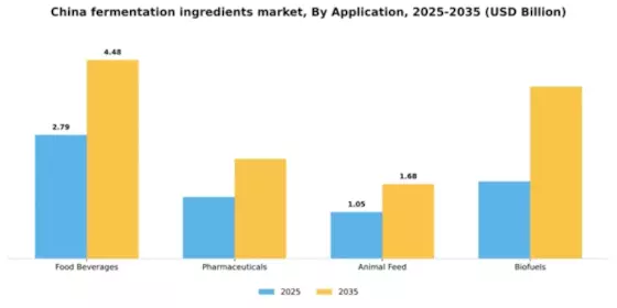 China Fermentation Ingredients Market Segment Image 0