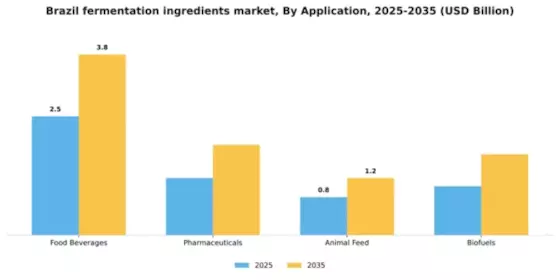 Brazil Fermentation Ingredients Market Segment Image 0
