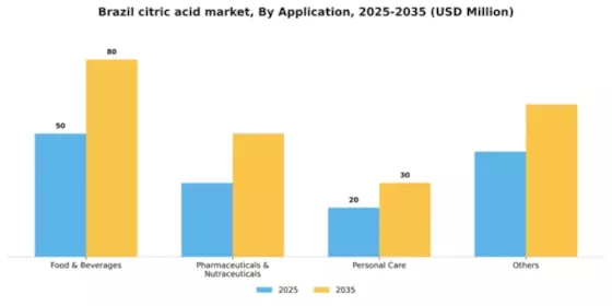 Brazil Citric Acid Market Segment Image 0
