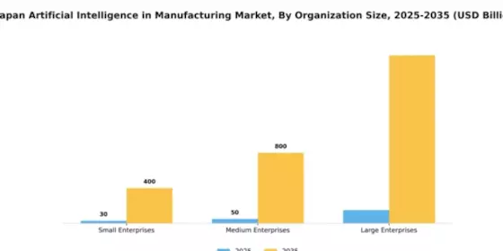 Japan Artificial Intelligence in Manufacturing Market Segment Image 3