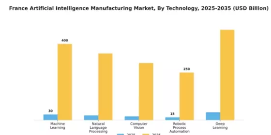 France Artificial Intelligence Manufacturing Market Segment Image 2