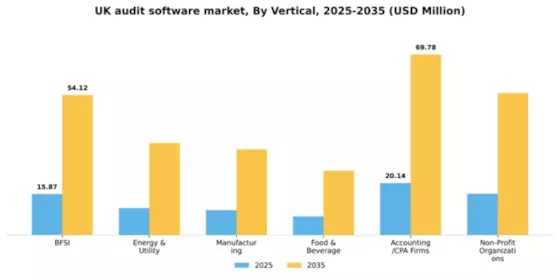 UK Audit Software Market Segment Image 3