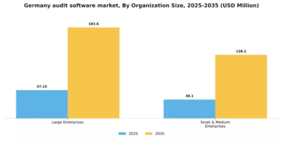 Germany Audit Software Market Segment Image 2