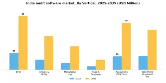 India Audit Software Market Segment Image 3