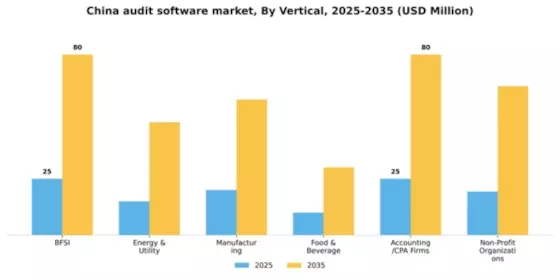 China Audit Software Market Segment Image 3