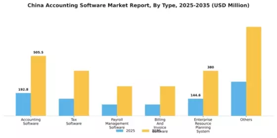 China Accounting Software Market Segment Image 2