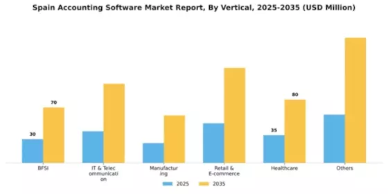 Spain Accounting Software Market Segment Image 3
