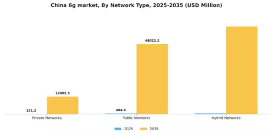 China 6G Market Segment Image 2