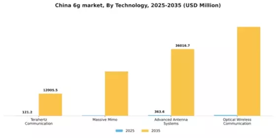 China 6G Market Segment Image 3