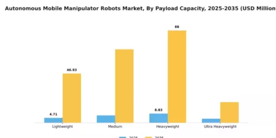 South America Autonomous Mobile Manipulator Robots Market Segment Image 3