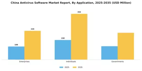 China Antivirus Software Market Segment Image 0