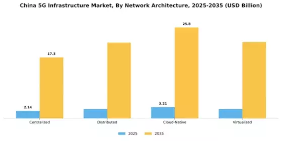 China 5G Infrastructure Market Segment Image 2