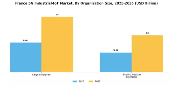 France 5G Industrial IoT Market Segment Image 2