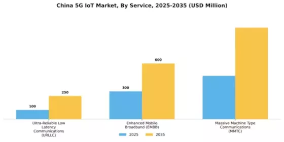 China 5G IoT Market Segment Image 0
