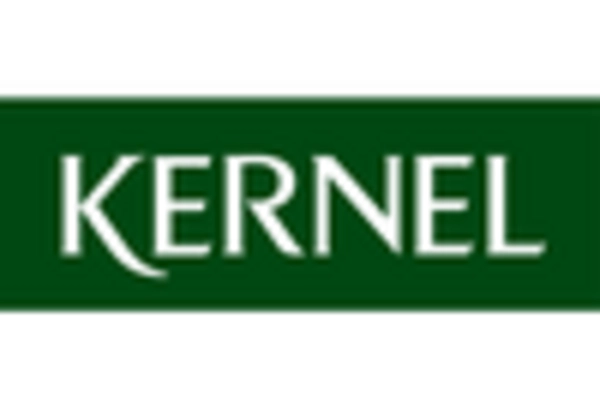 China Brain Computer Interface Market key player