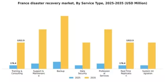 France Disaster Recovery Service Market Segment Image 1