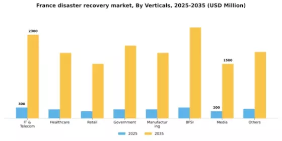 France Disaster Recovery Service Market Segment Image 2