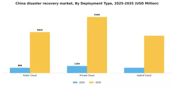 China Disaster Recovery Service Market Segment Image 0