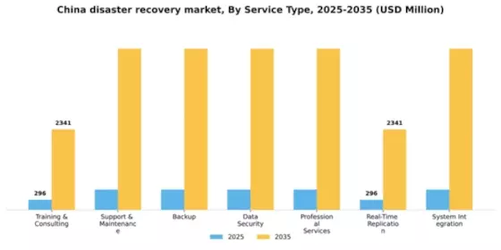 China Disaster Recovery Service Market Segment Image 1