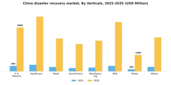 China Disaster Recovery Service Market Segment Image 2