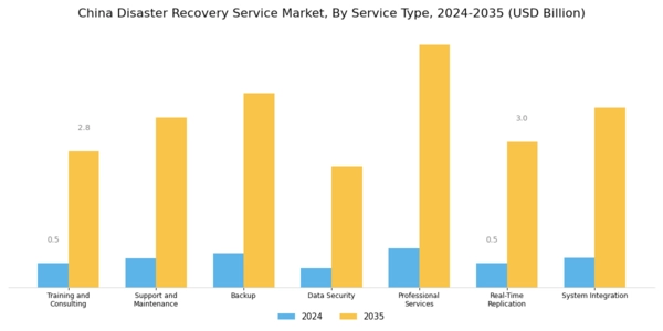 China Disaster Recovery Service Market Segment Image 0