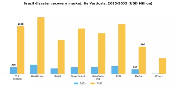 Brazil Disaster Recovery Service Market Segment Image 2