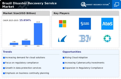 Brazil Disaster Recovery Service Market Infographic