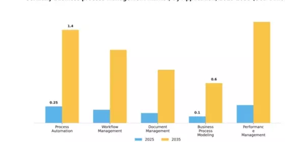 Germany Business Process Management Market Segment Image 0